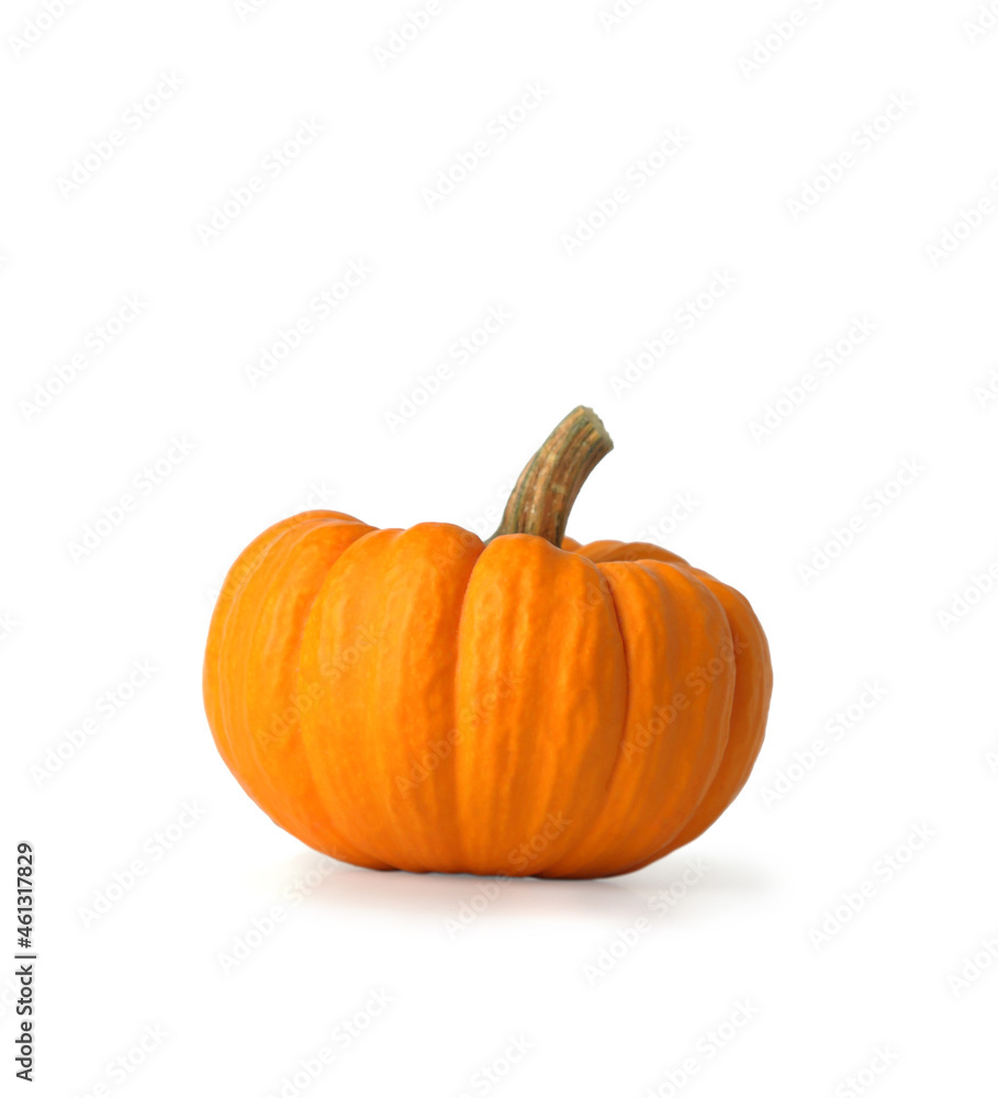 Obraz premium Mini Orange Pumpkin Isolated on White