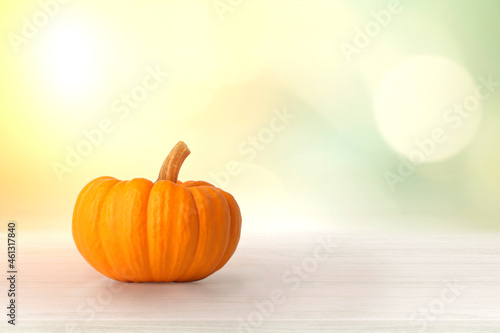 Mini Orange Pumpkin Isolated on Green bokeh wall with beige wooden floor product background