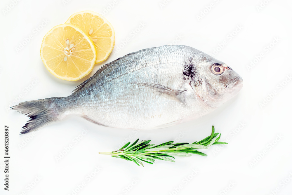 raw dorado fish with lemon and rosemary on a white plate raw dorado fish with lemon and rosemary on a white plate