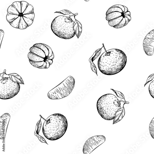 Mandarin. Seamless pattern. Sketch illustration set. Vector