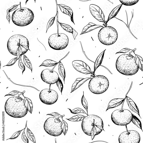 Mandarin. Seamless pattern. Sketch illustration set. Vector