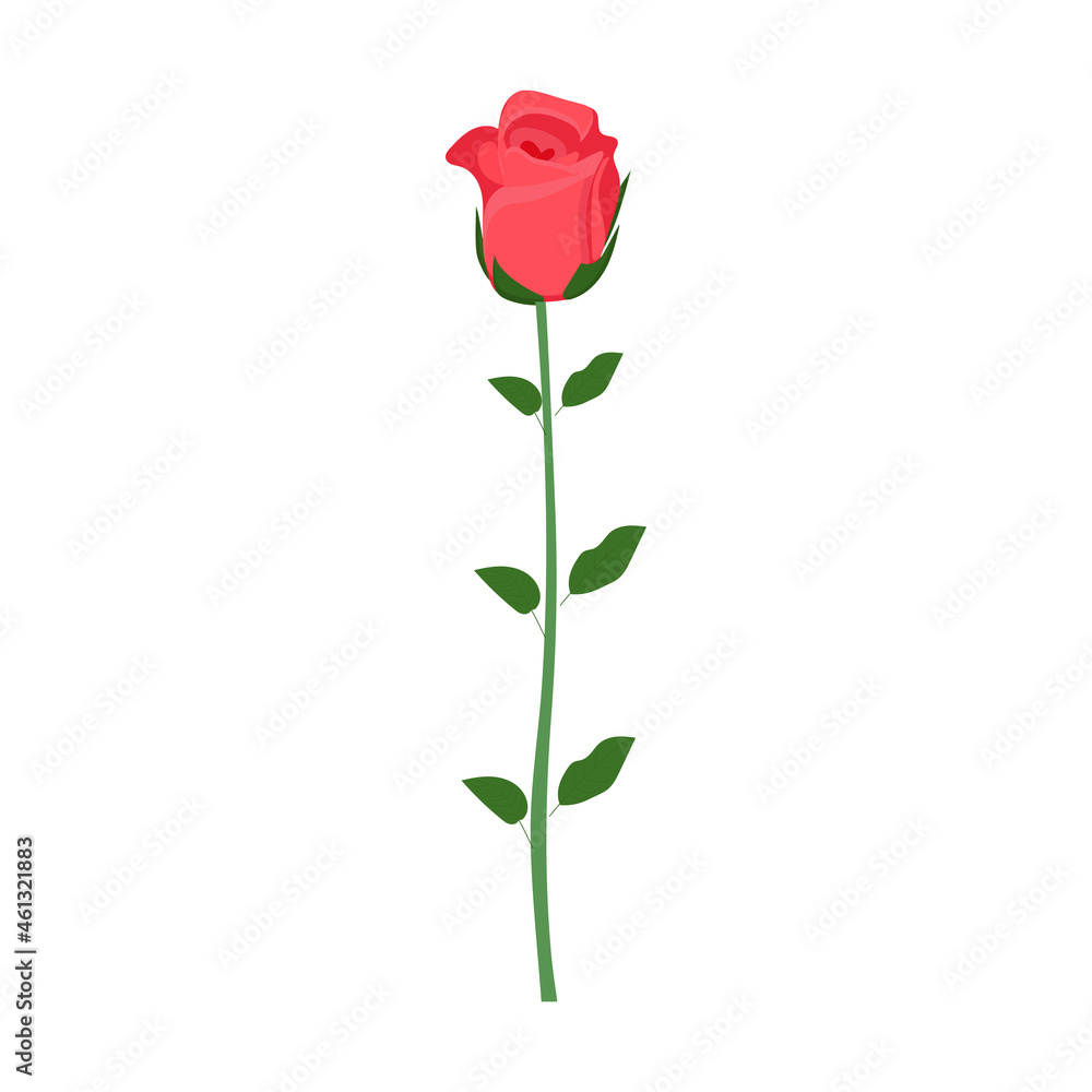 Fototapeta premium Red rose on a leg on a white background for use in clipart