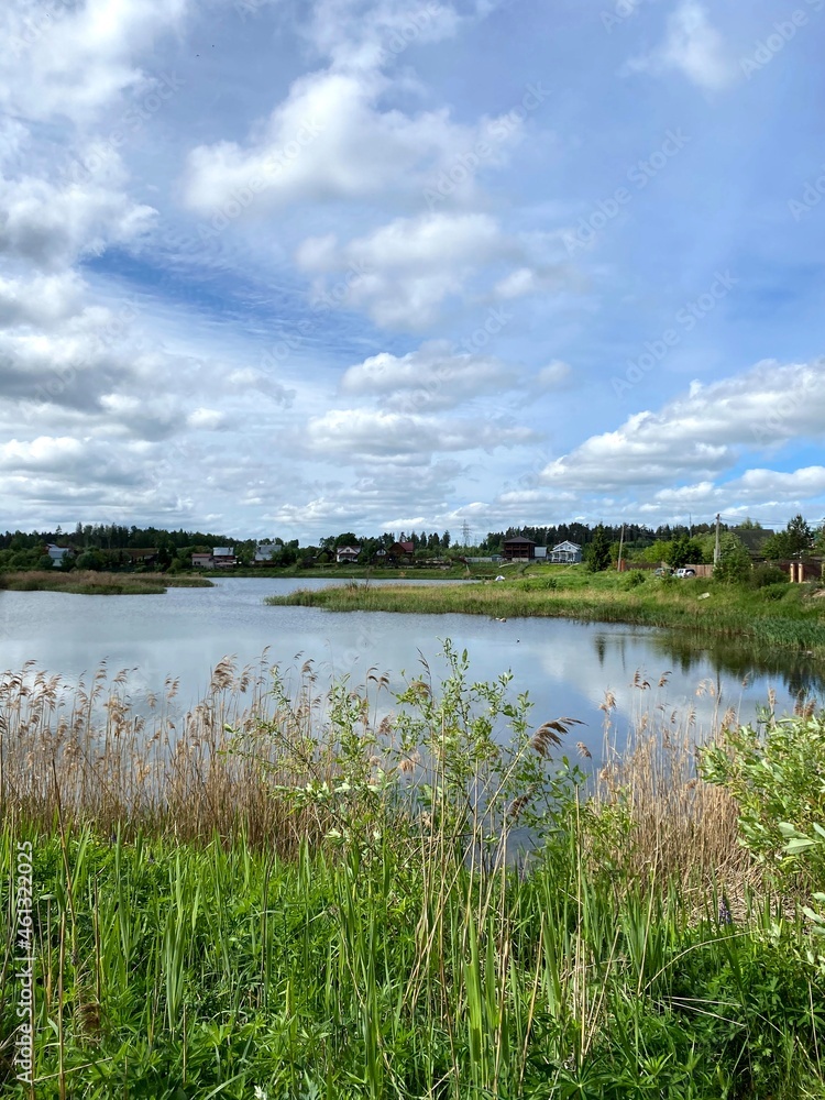 Lake view surrounded by trees. Taken in vertical format as a background. Green leafy branches and blue lake. light wave. Lake view surrounded by trees. Taken in vertical format as a background. Green leafy branches and blue lake. light wave.