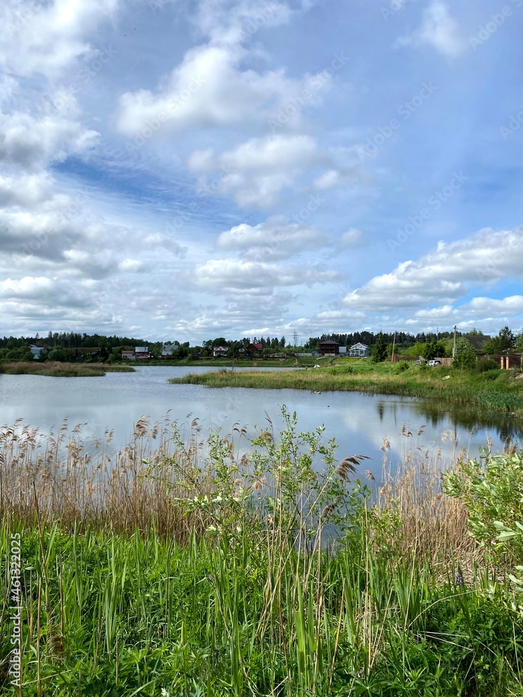 Lake view surrounded by trees. Taken in vertical format as a background. Green leafy branches and blue lake. light wave.