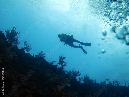 Low angle shot of a scuba diver in a coral reef