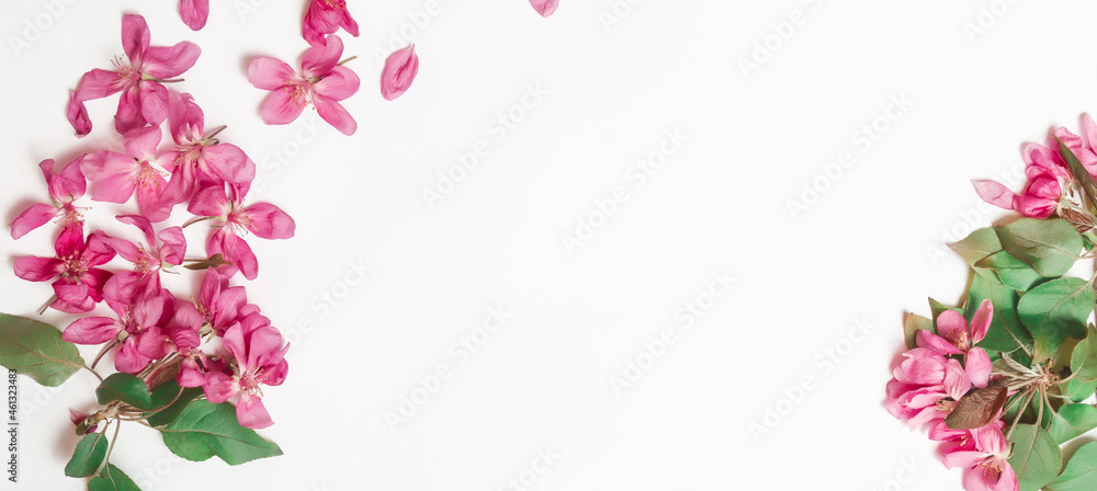 Fresh branches of apple blossoms on light pink table background. Flat lay. Copy space. Postcard. Banner