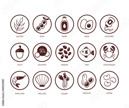 Food allergen icon set. Icons of the main ingredients that must be declared as allergens. Very useful for restaurant menus and meals. Monochromatic vector icons. photo
