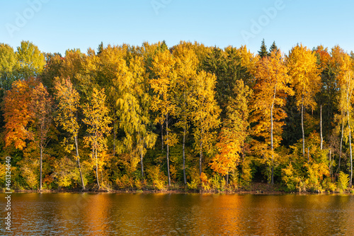 Colorful yellow orange trees on the banks of a river or lake are reflected in the wavy water. Scenic autumn landscape with clear blue skies and the light of the setting sun