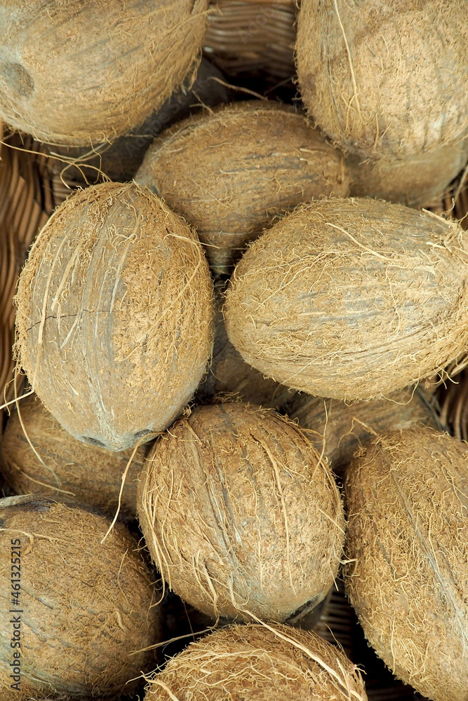 lots of oval whole coconuts. kind of super lots of oval whole coconuts. kind of super