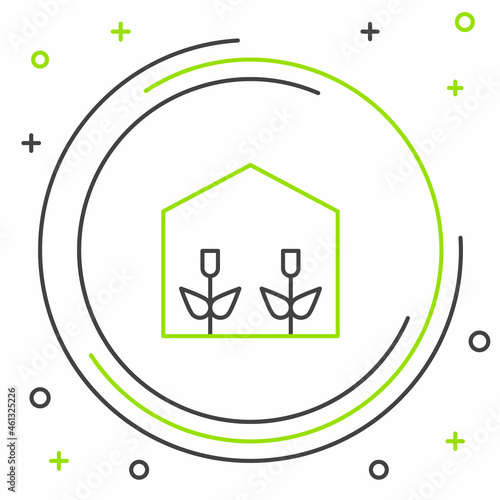Line Home greenhouse and plants icon isolated on white background. Colorful outline concept. Vector