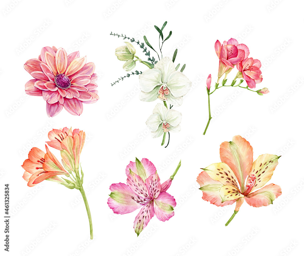 set of watercolor illustrations of flowers on a white background. hand painted for design and invitations.