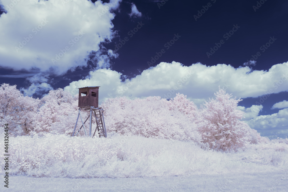 infrared photography - surreal ir photo of landscape with trees under cloudy sky - the art of our world and plants in the invisible infrared camera spectrum infrared photography - surreal ir photo of landscape with trees under cloudy sky - the art of our world and plants in the invisible infrared camera spectrum