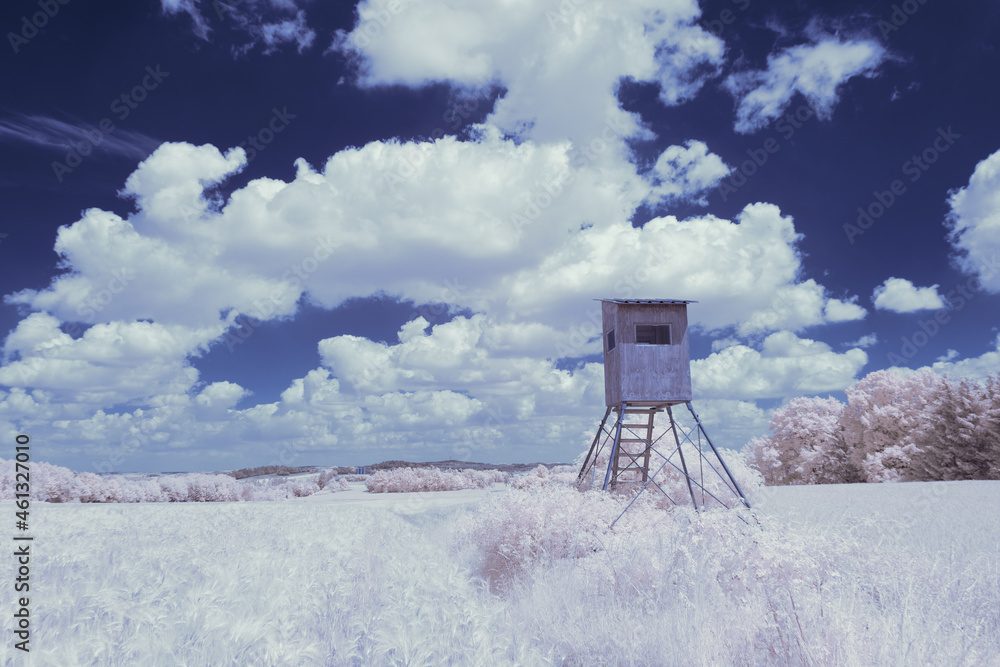 infrared photography - surreal ir photo of landscape with trees under cloudy sky - the art of our world and plants in the invisible infrared camera spectrum infrared photography - surreal ir photo of landscape with trees under cloudy sky - the art of our world and plants in the invisible infrared camera spectrum