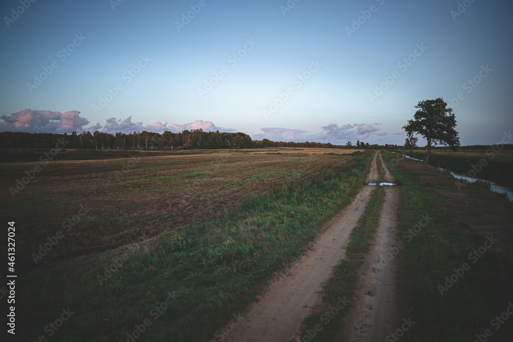 straight endless country dirt sand road with puddle. Agricultural field, blue cloudless sky, sunset light, forest in distance, river near road, lonely oak tree. Latvia.