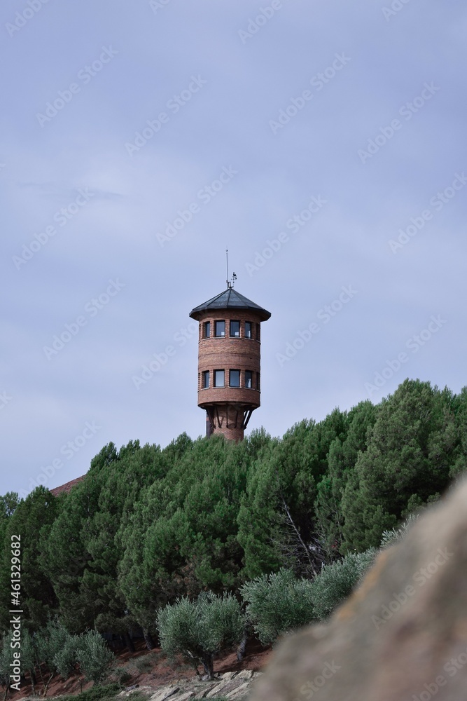 Fototapeta premium Winery