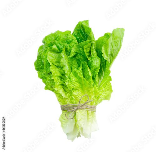 Bunch of fresh lola rosso lettuce leaf tied with plait isolated on white background. photo