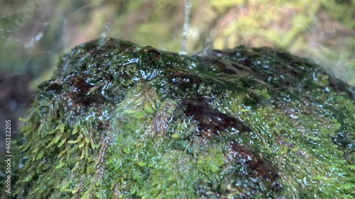 Wasserfall mit Moos in der Lotenbachklamm im Schwarzwald photo