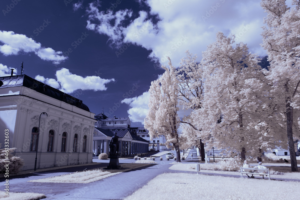 Fototapeta premium infrared photography - surreal ir photo of landscape with trees under cloudy sky - the art of our world and plants in the invisible infrared camera spectrum