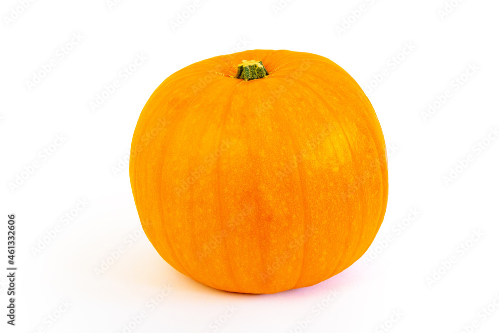 pumpkin isolated on white background pumpkin isolated on white background