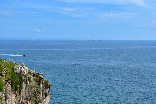 Seascape with seagulls on rocks, motor boat and small ship silhouette on blurred skyline
