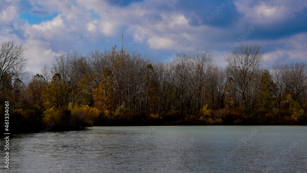 Fototapeta premium lake in the forest