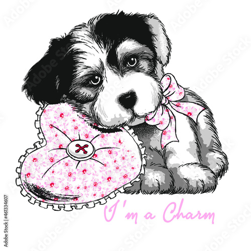puppy with heart