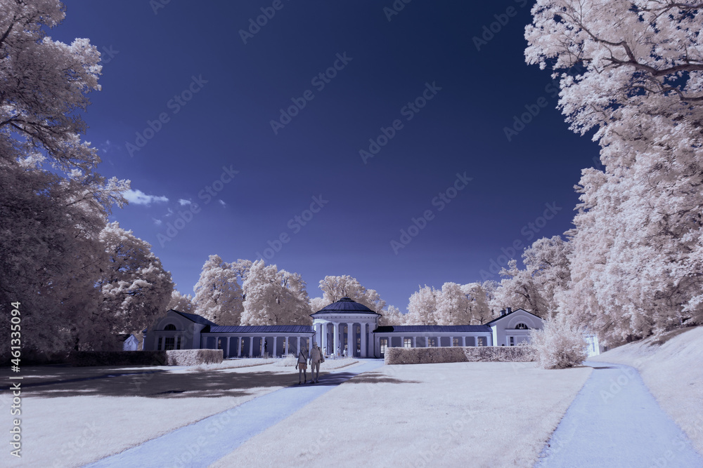 infrared photography - surreal ir photo of landscape with trees under cloudy sky - the art of our world and plants in the invisible infrared camera spectrum