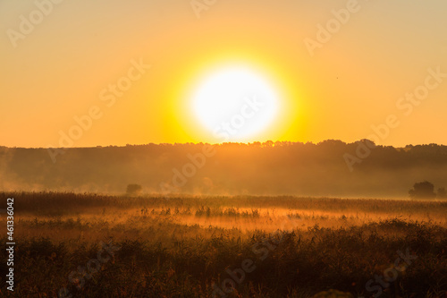 Beautiful sunrise over a foggy meadow © olyasolodenko