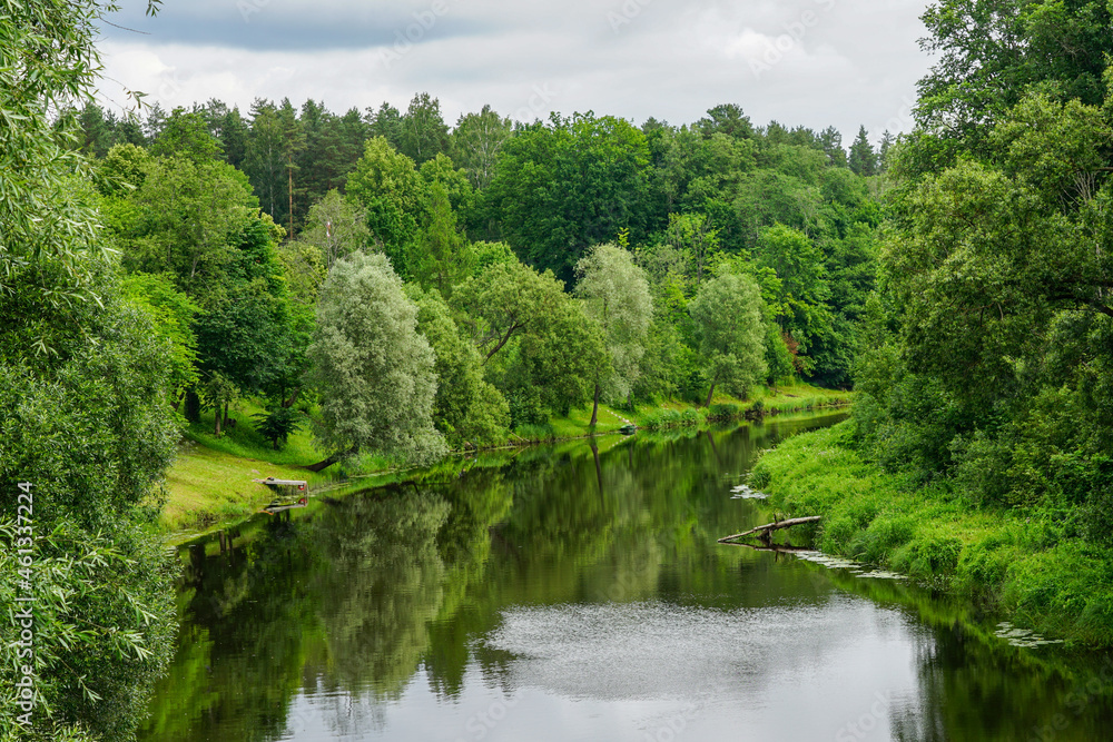 summer landscape with a view of the bend of the river with tree covered banks