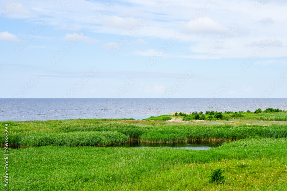 Obraz premium nature reserve Randu Meadows, located on the eastern shore of the Gulf of Riga in the Baltic Sea