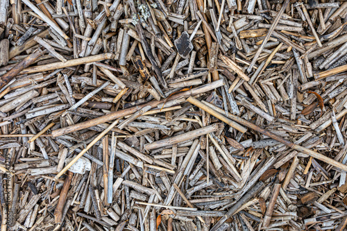 Dry broken stems of reeds on the shore of the reservoir. Abstract background.