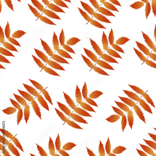 Autumn golden rowan leaves pattern, vector graphics photo