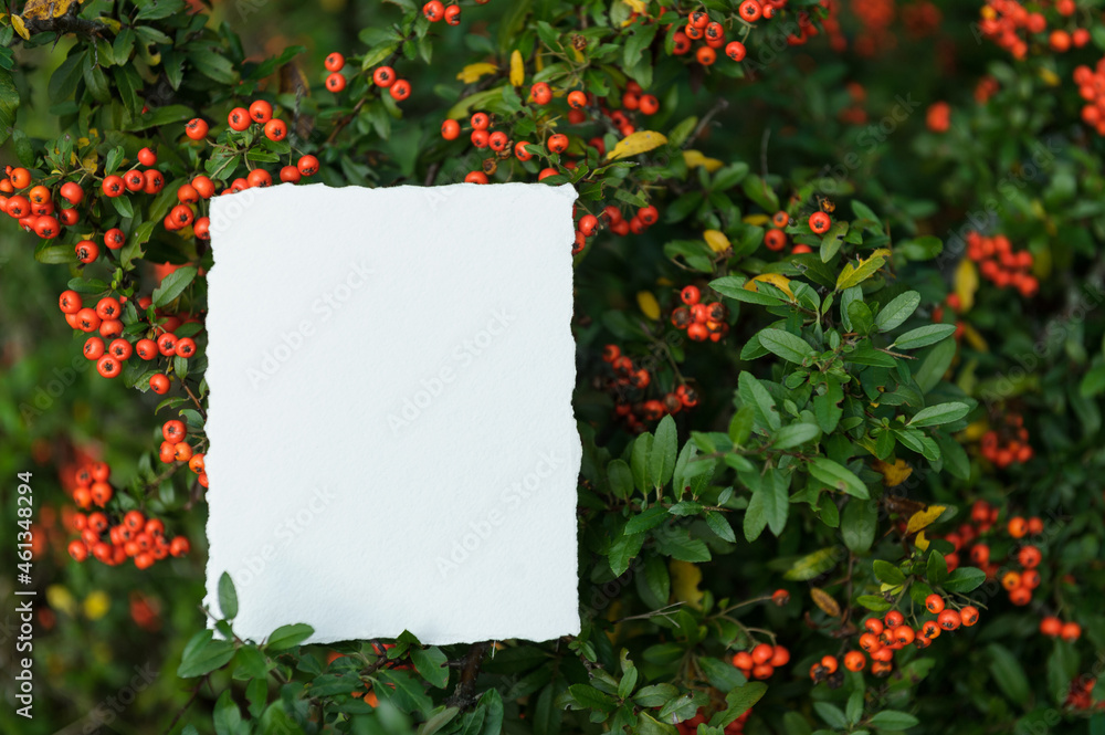 White blank paper sheet card mockup with copy space on landscape background. Summer stationery mock-up scene. Top view minimal business brand, wedding invitation template White blank paper sheet card mockup with copy space on landscape background. Summer stationery mock-up scene. Top view minimal business brand, wedding invitation template