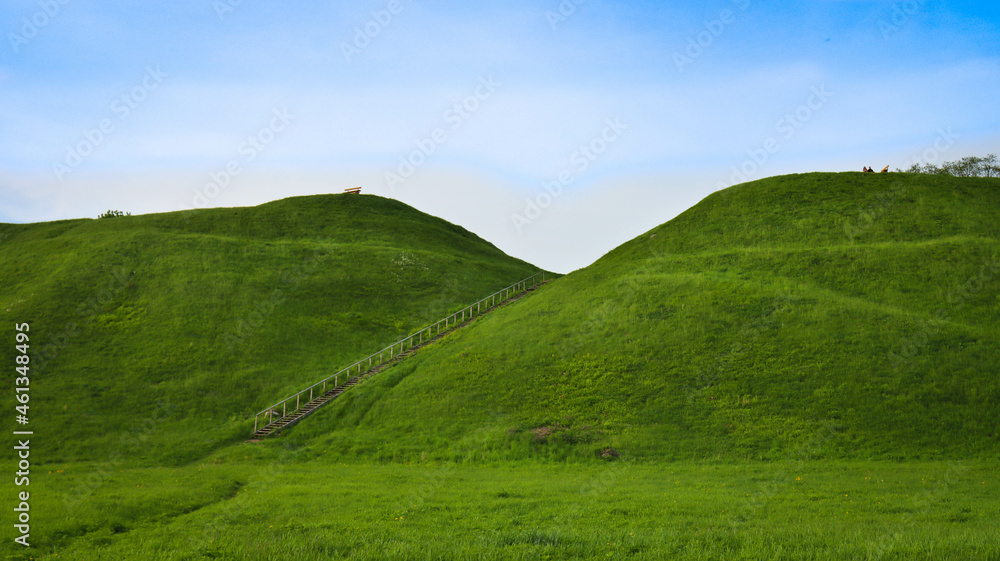 Fototapeta premium grass and blue sky
