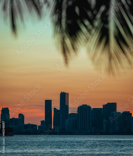 city skyline at sunset palms tropical beautiful cute paradise Miami Florida  © Alberto GV PHOTOGRAP
