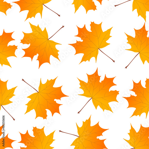 Autumn pattern yellow from maple leaves drawn in vector graphic