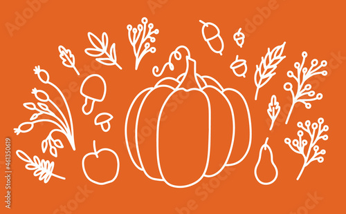 Cozy home autumn still life with pumpkin, leaves and branches of berries in the style of lines and colored spots. Decorative elements for the design of postcards, invitations and more. Vector