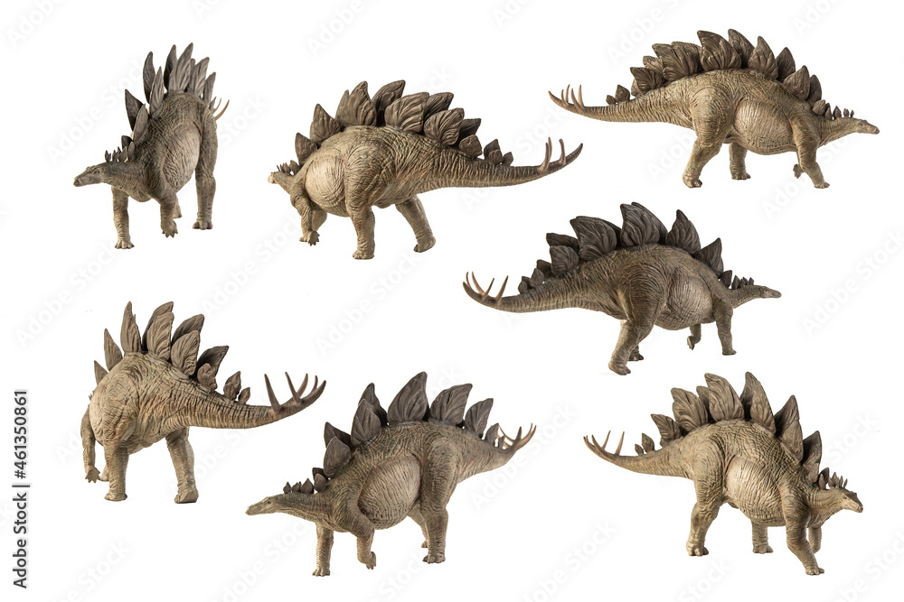 Naklejka premium Stegosaurus Dinosaur on white background