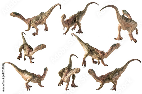 Fototapeta Naklejka Na Ścianę i Meble -  Chilesaurus Dinosaur on white background