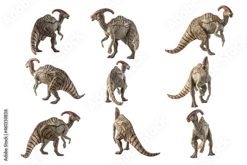 Fototapeta Naklejka Na Ścianę i Meble -  Parasaurolophus Dinosaur on white background