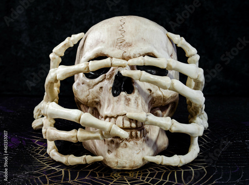A skull halloween decoration and skeleton hands posing

