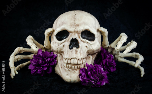 A skull halloween decoration and skeleton hands posing

