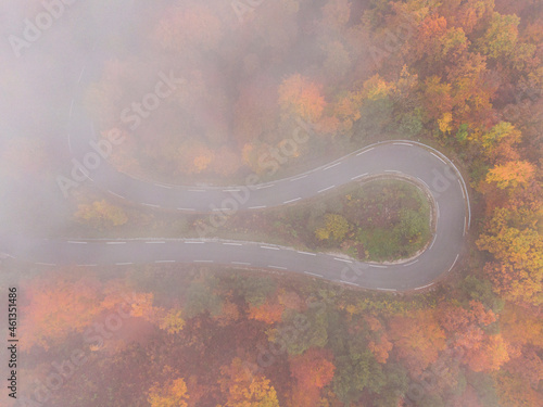 TOP DOWN: Flying above a hairpin turn of a scenic forest road on foggy fall day.