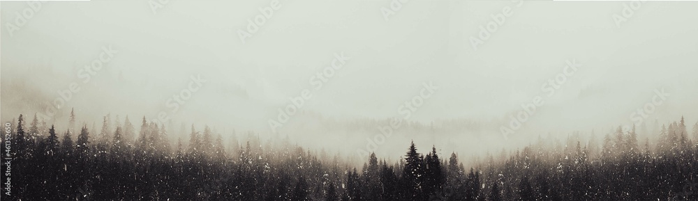 Naklejka premium winter trees