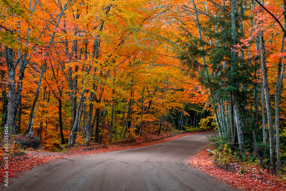 Tunnel of autumn trees by scenic back road 510 in Michigan upper Peninsula.