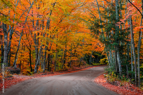Tableau sur toile Tunnel of autumn trees by scenic back road 510 in Michigan upper Peninsula