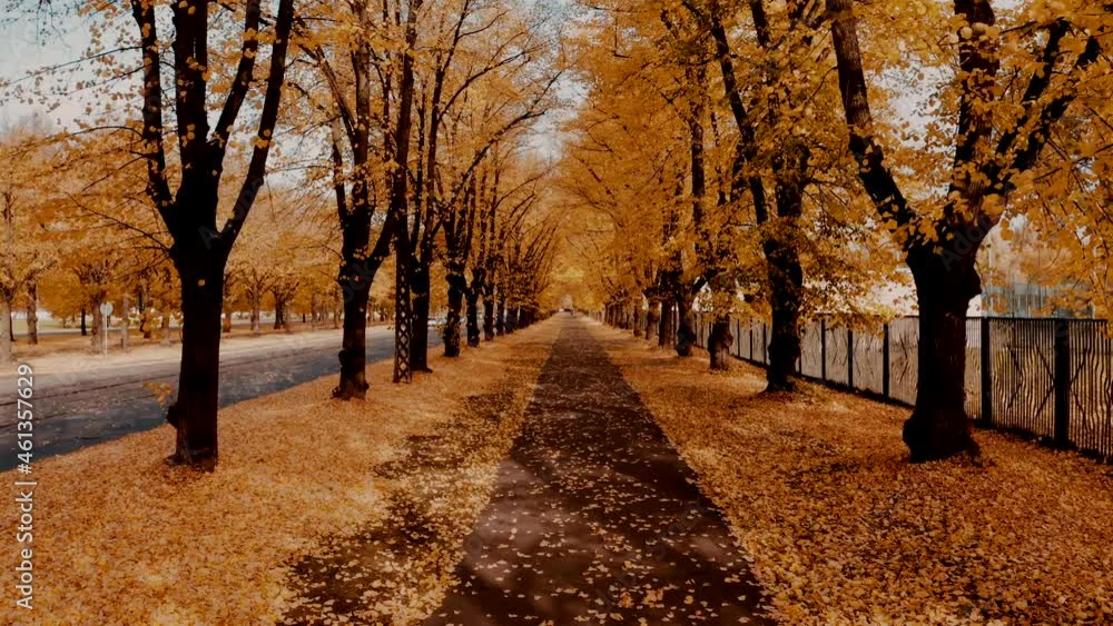 Flying through orange autumn tree alley in the park. Golden autumn colors. Beautiful nature