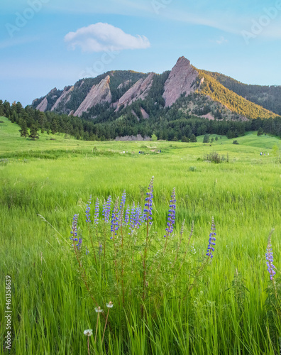 Flatirons Landscape in Boulder, Colorado, USA  
