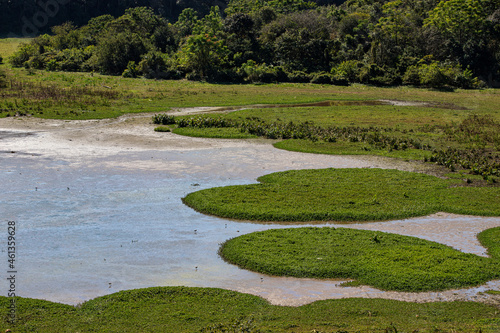 lake and forest on natural landscape