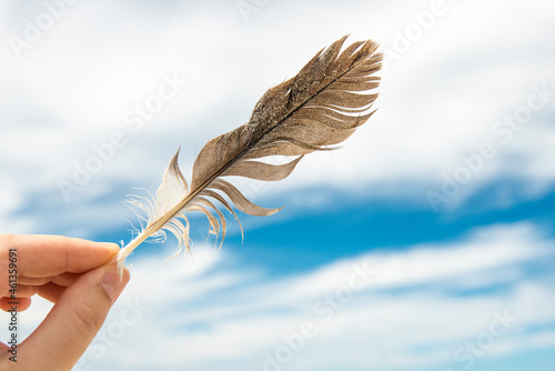 A woman's hand holds a feather against the sky photo